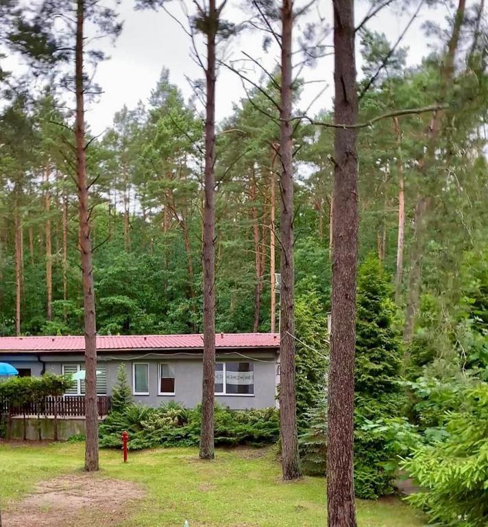 Kąty Rybackie Osrodek Wypoczynkowy Zakatekヴィラ エクステリア 写真